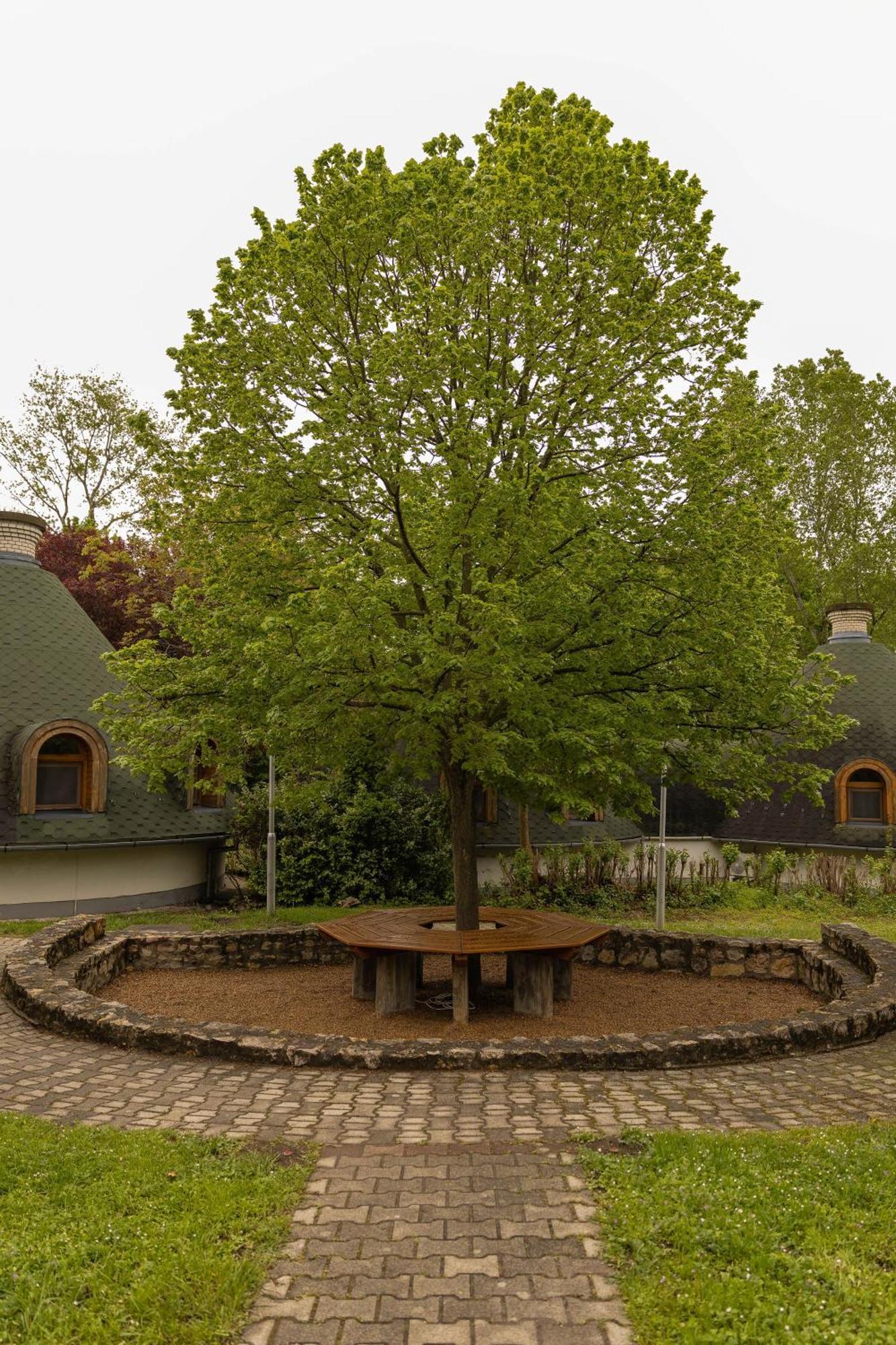 Gesztenye Nyaralopark Balatonudvari Exterior foto